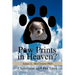 Paw Prints in Heaven?: Christians and Pet Loss