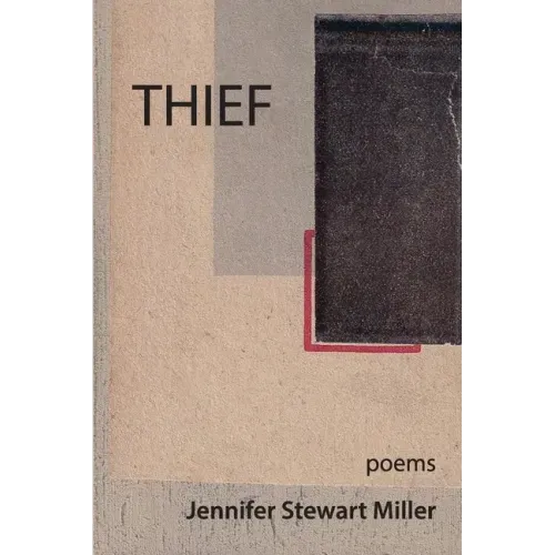 Thief: poems