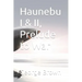 Haunebu I & II, Prelude to War