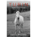 Turin: Approaching Animals