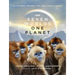 Seven Worlds One Planet