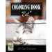 Kittens Cat Sketch Gray Scale Photo Adult Coloring Book, Mind Relaxation Stress Relief: Just added color to release your stress and power brain and mi