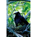 A Birder's Guide to Florida