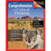 Comprehension and Critical Thinking Grade 6 [With CDROM]