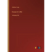 Essays in Little: in large print