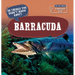 20 Things You Didn't Know about Barracuda