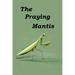 The Praying Mantis: All about being a Praying Mantis.