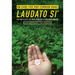 On Care for Our Common Home, Laudato Si': The Encyclical of Pope Francis on the Environment with Commentary by Sean McDonagh