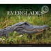 Welcome to Everglades National Park