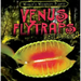 Venus Flytraps Eat Bugs!