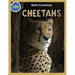 Cheetah Activity Workbook ages 4-8