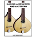 Making a Cittern and a Bouzouki