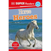 DK Super Readers Level 4 Horse Heroes