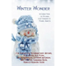 Winter Wonder: A Collection of Stories for Children & Young Adults