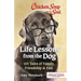 Chicken Soup for the Soul: Life Lessons from the Dog: 101 Tales of Family, Friendship & Fun