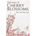 Dreams of Cherry Blossoms