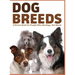 Dog Breeds: A Picture Book for People Who Like Dogs, Not Words