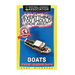 Everything You Should Know About: Boats