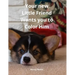 Your new Little Friend Wants you to Color Him: A Puppy to Play with Color from 4 years old