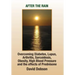 After the Rain: Overcoming Diabetes, Lupus, Arthritis, Sarcoidosis, Prednisone, Obesity