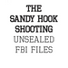The Sandy Hook Shooting: The FBI Files: Unsealed Files on Adam Lanza & The Sandy Hook Shooting