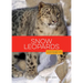 Snow Leopards