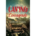 El Camino consagrado a la perfección cristiana