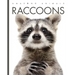 Raccoons