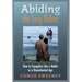 Abiding the Long Defeat: How to Evangelize Like a Hobbit in a Disenchanted Age