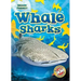 Whale Sharks