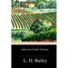 American Grape Training