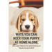 Ways You Can Keep Your Puppy At Home Alone: Tips And Tricks To Successfully Train Your Puppy: How To Keep A Dog Happy When Home Alone