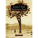 Joshua Tree National Park