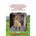 Indigenous Political Hierarchy and Sustainable Collective Meaning in the Changing Cameroon Grassfields