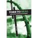 Torn to Heal: God's Good Purpose in Suffering