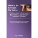 What to Do Between the Tears...: A Practical Guide to Dealing with a Dementia or Alzheimer's Diagnosis in the Family