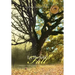 Let the Seed Fall: Growing from a Seed to a Tree by God's Power