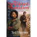 The Simulated Plantation: A Connecticut Engineer in the Antebellum