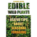 Edible Wild Plants: Useful Tips About Seasonal Foraging