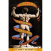 Houdini, Tarzan, and the Perfect Man: The White Male Body and the Challenge of Modernity in America