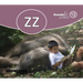 Sounds and Letters Long U: Book 22