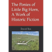 The Ponies of Little Big Horn, A Work of Historic Fiction