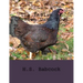 The Indian or Cornish Game Fowl: Its Description, Characteristics, Origin, History and Breeding