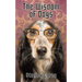 The Wisdom of Dogs