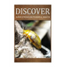 Super Strong and Powerful Insects - Discover: Early reader's wildlife photography book