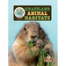 Grassland Animal Habitats