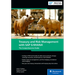Treasury and Risk Management with SAP S/4hana: The Comprehensive Guide