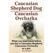 Caucasian Shepherd Dog. Caucasian Ovcharka. What You Must Know Before You Buy a Caucasian Shepherd Dog, Caucasian Ovcharka as a Pet.