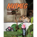 Nutmeg the Chipmunk: Colouring Book with Fun Facts for Kids