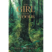 The Girl in the Woods